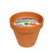 VASETTO TERRACOTTA CITRONELLA 14X13