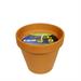 VASETTO TERRACOTTA CITRONELLA 7X6